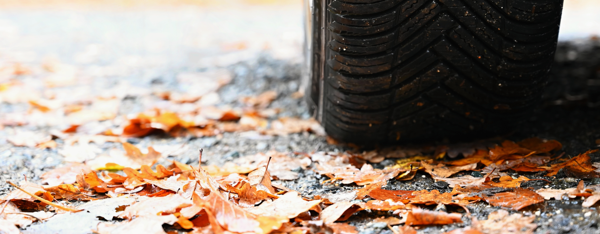 12887 Argos 2025 Blog Najaar WebsiteHeader 1920x750_AW01_FO_Autobanden