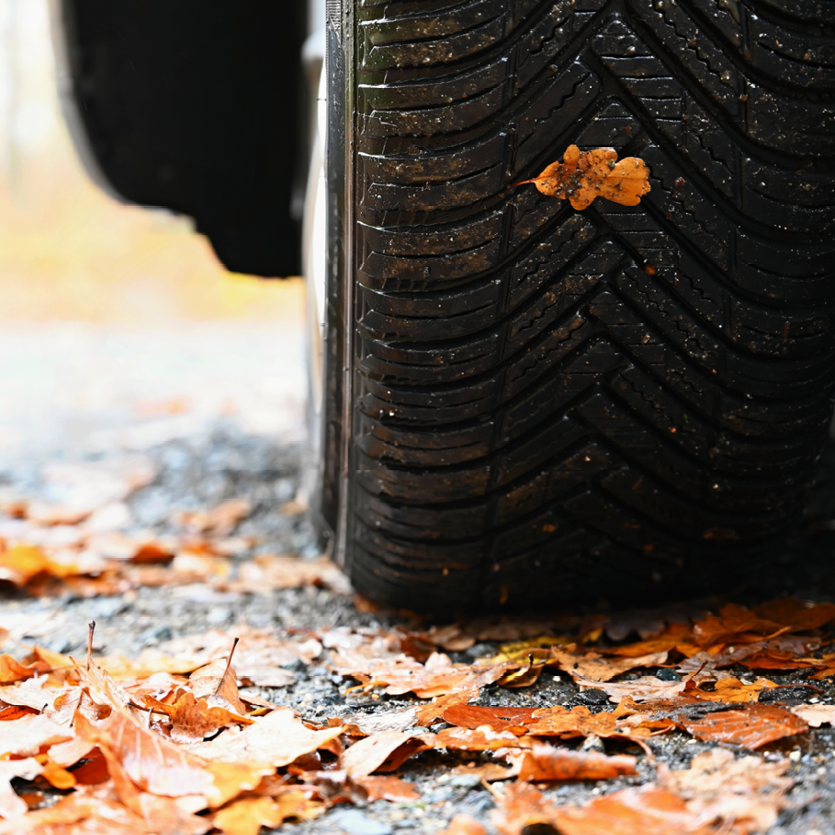 12887 Argos 2025 Blog Najaar WebsiteHeader 835x835_AW01_FO_Autobanden